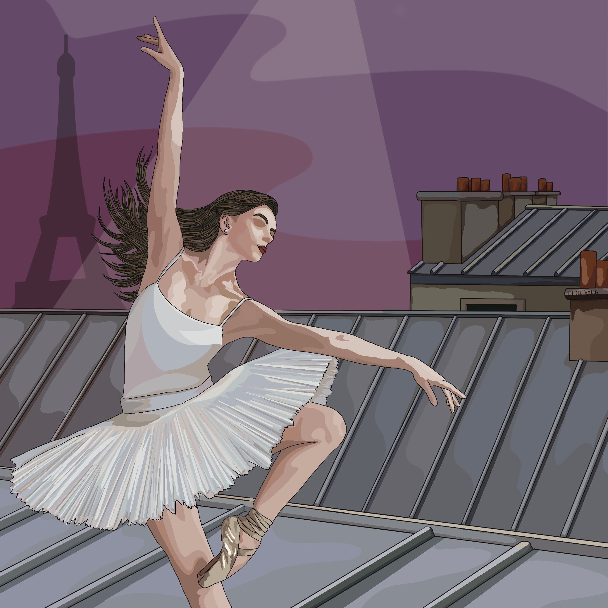 Above The Rooftops Of Paris.